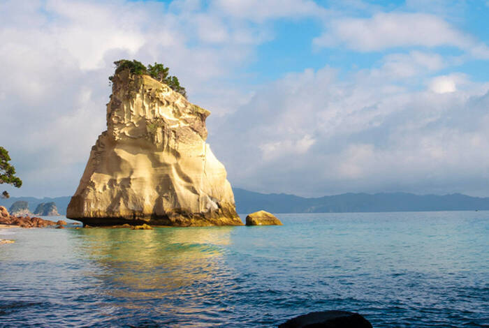 New Zealand Northern Trail (Southbound) New Zealand Northern Trail (Southbound)