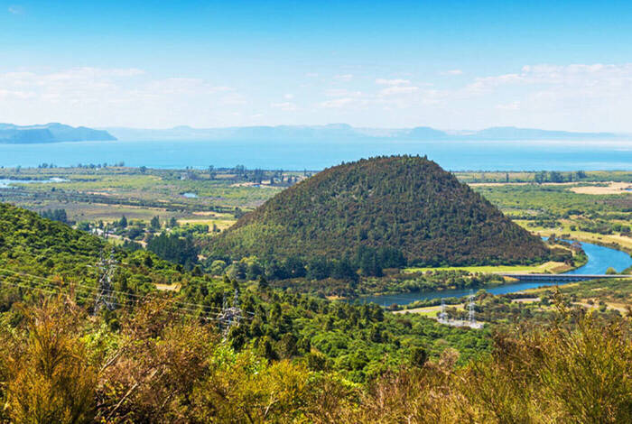 Premium New Zealand Encompassed