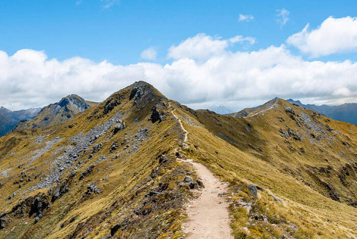 Walk New Zealand's Fiordland National Park Walk New Zealand's Fiordland National Park