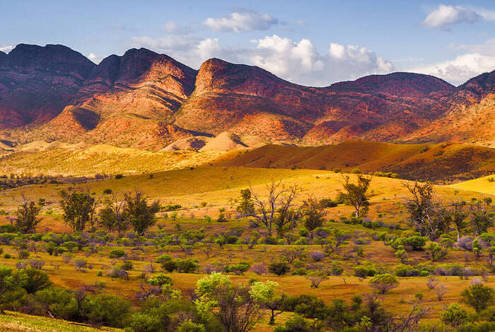 Walk South Australia's Flinders Ranges