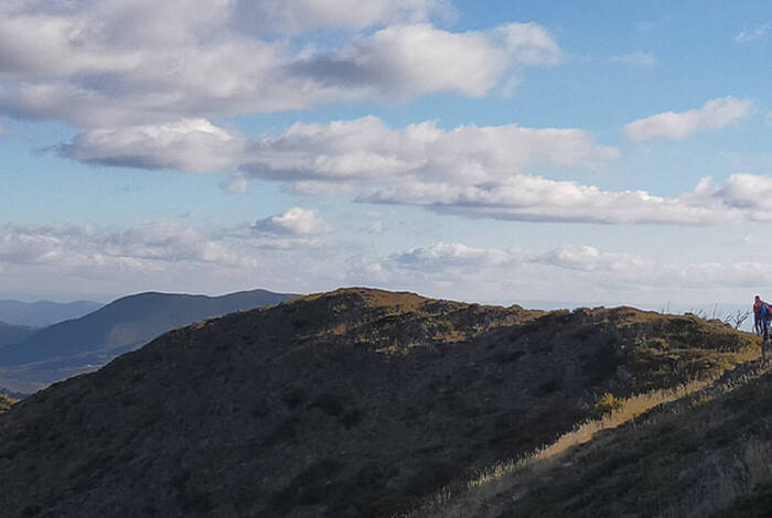 Walk Victoria's High Country