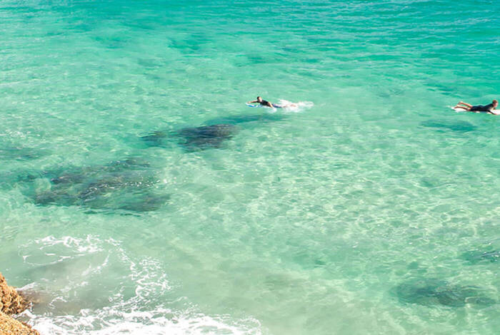 Sydney to Brisbane Adventure