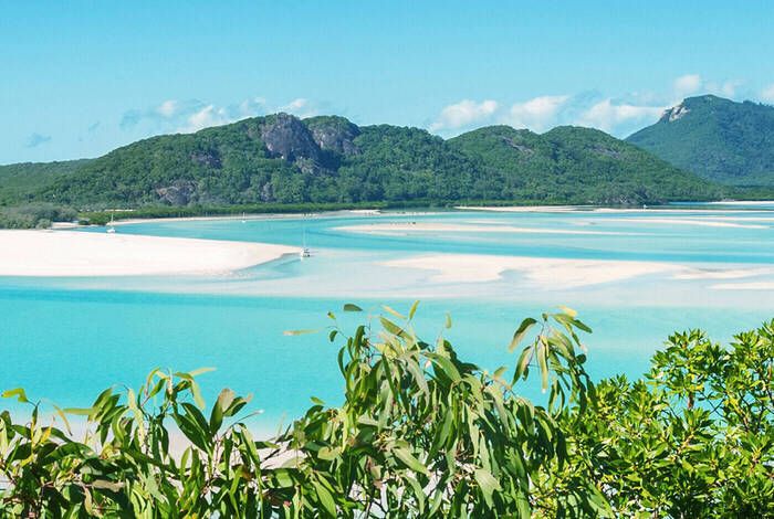 Brisbane to Cairns Adventure