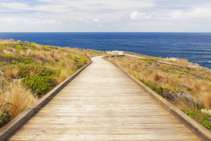 Kangaroo Island Adventure