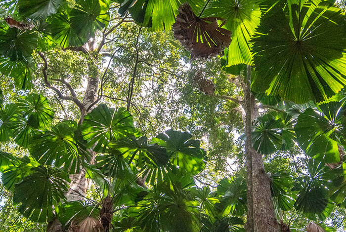 East Coast Australia Adventure