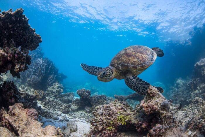 West Coast Adventure (Southbound)