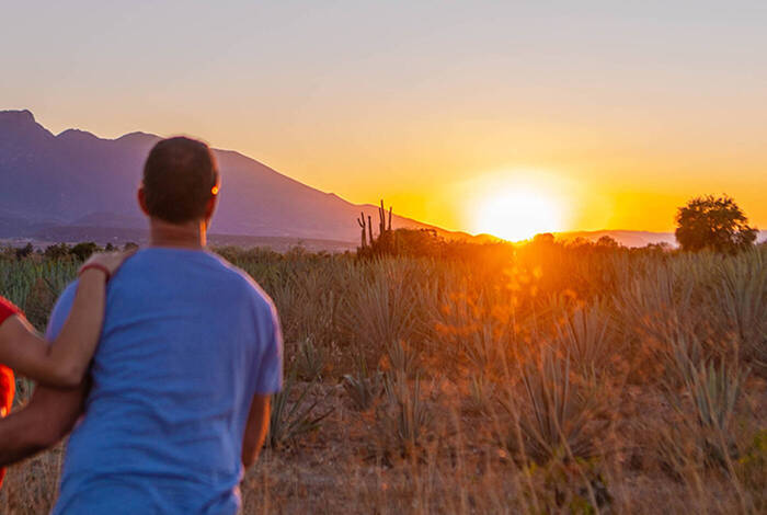 Premium Mexico in Depth