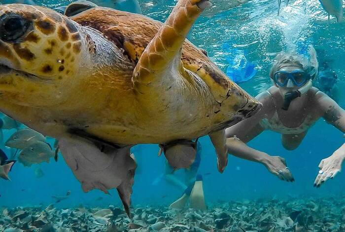 Real Central America