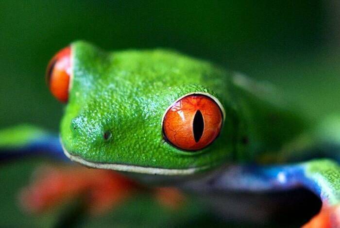 Best of Costa Rica Family Holiday