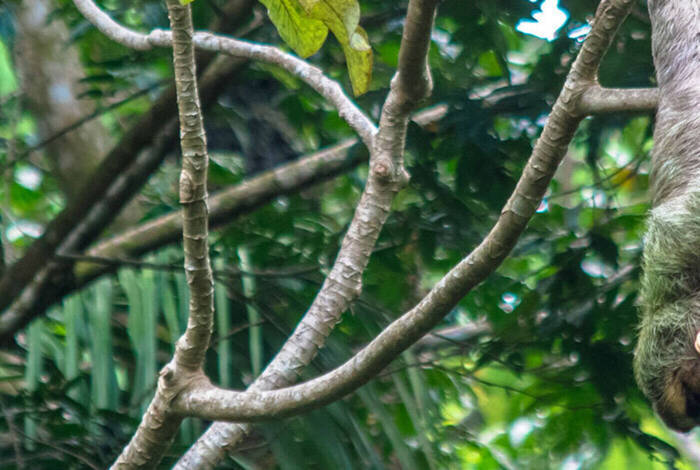 Best of Central America