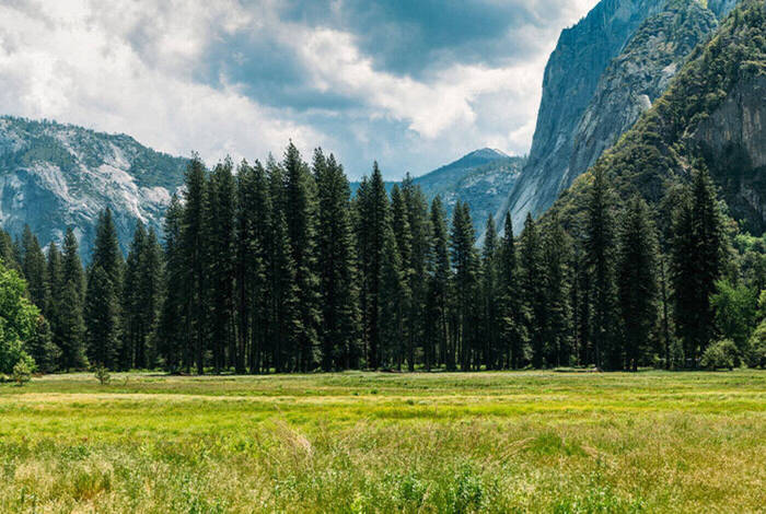 Best of California's National Parks