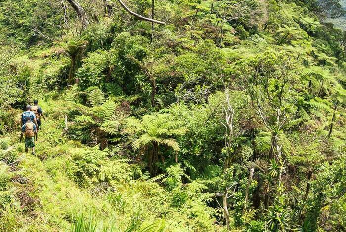 Fiji: Hike, Raft & Snorkel