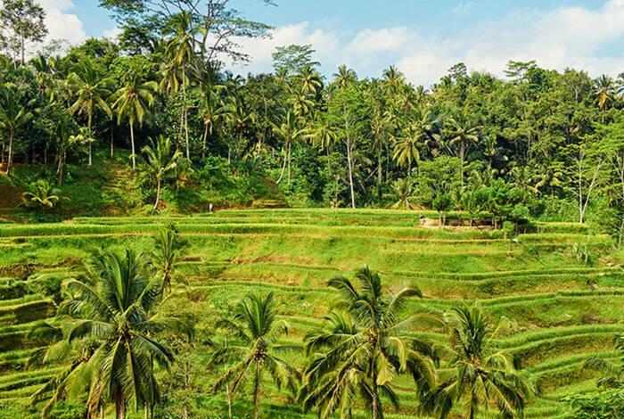 Bali Family Holiday with Teenagers