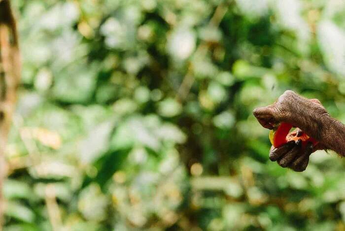 Malaysia's Ultimate Adventure