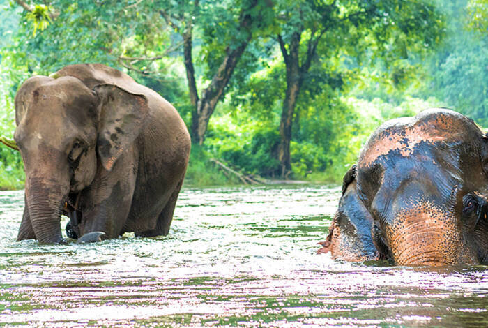 Explore Northern Thailand