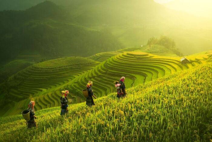 Premium Walking & Hiking in Vietnam Premium Walking & Hiking in Vietnam