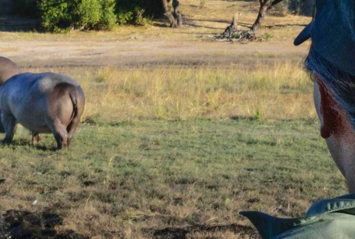 Botswana Adventure Botswana Adventure