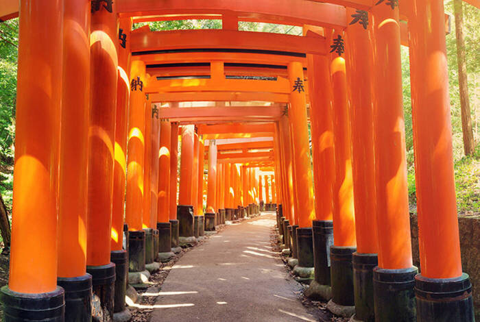 Japan Highlights Family Holiday