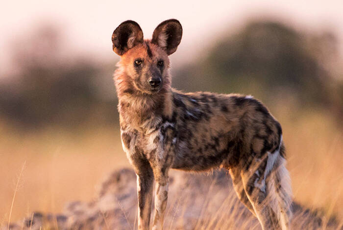 Explore Southern Africa Explore Southern Africa