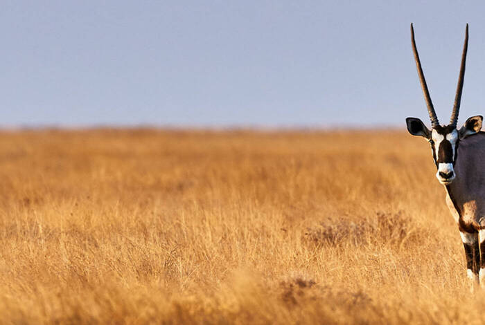 Premium Botswana & Namibia