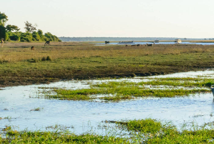 Premium Southern Africa in Depth