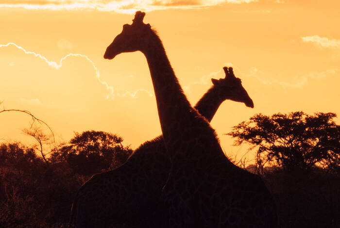 Experience Southern Africa