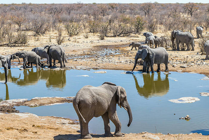 South Africa Family Safari with Teenagers