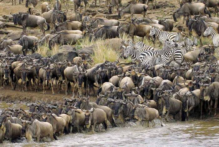 Africa Encompassed Northbound