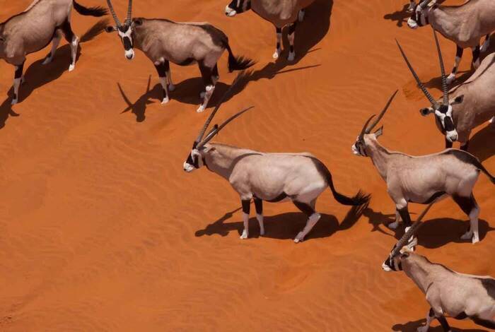 Southern Africa Adventure