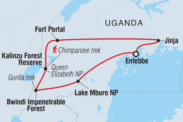 18 to 35s Essential Uganda: Gorillas and Chimps 18 to 35s Essential Uganda: Gorillas and Chimps