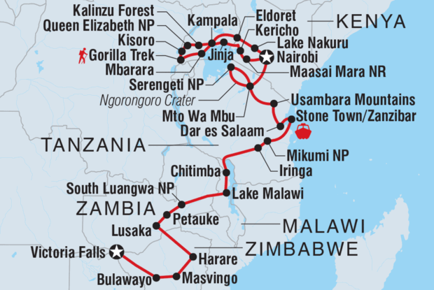 Gorillas to Vic Falls Gorillas to Vic Falls